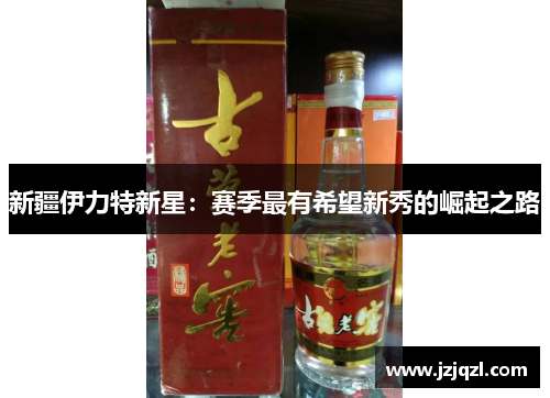 新疆伊力特新星：赛季最有希望新秀的崛起之路